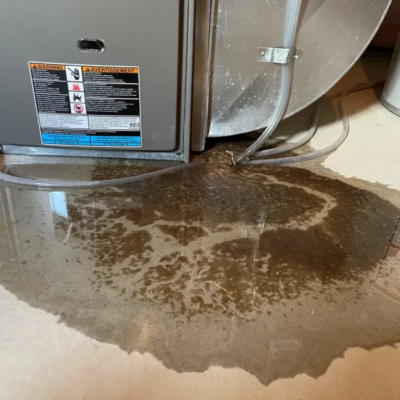 Appliance Leak Cleanup in Wausau, WI